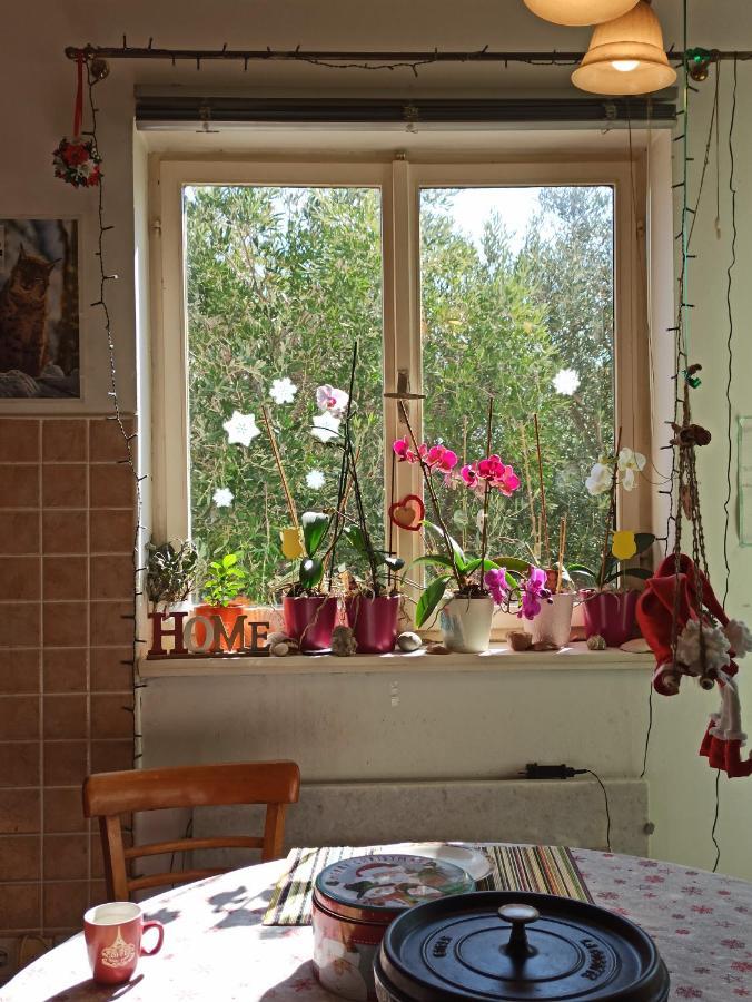 Appartamento Maslinov Hlad Barbat na Rabu Esterno foto